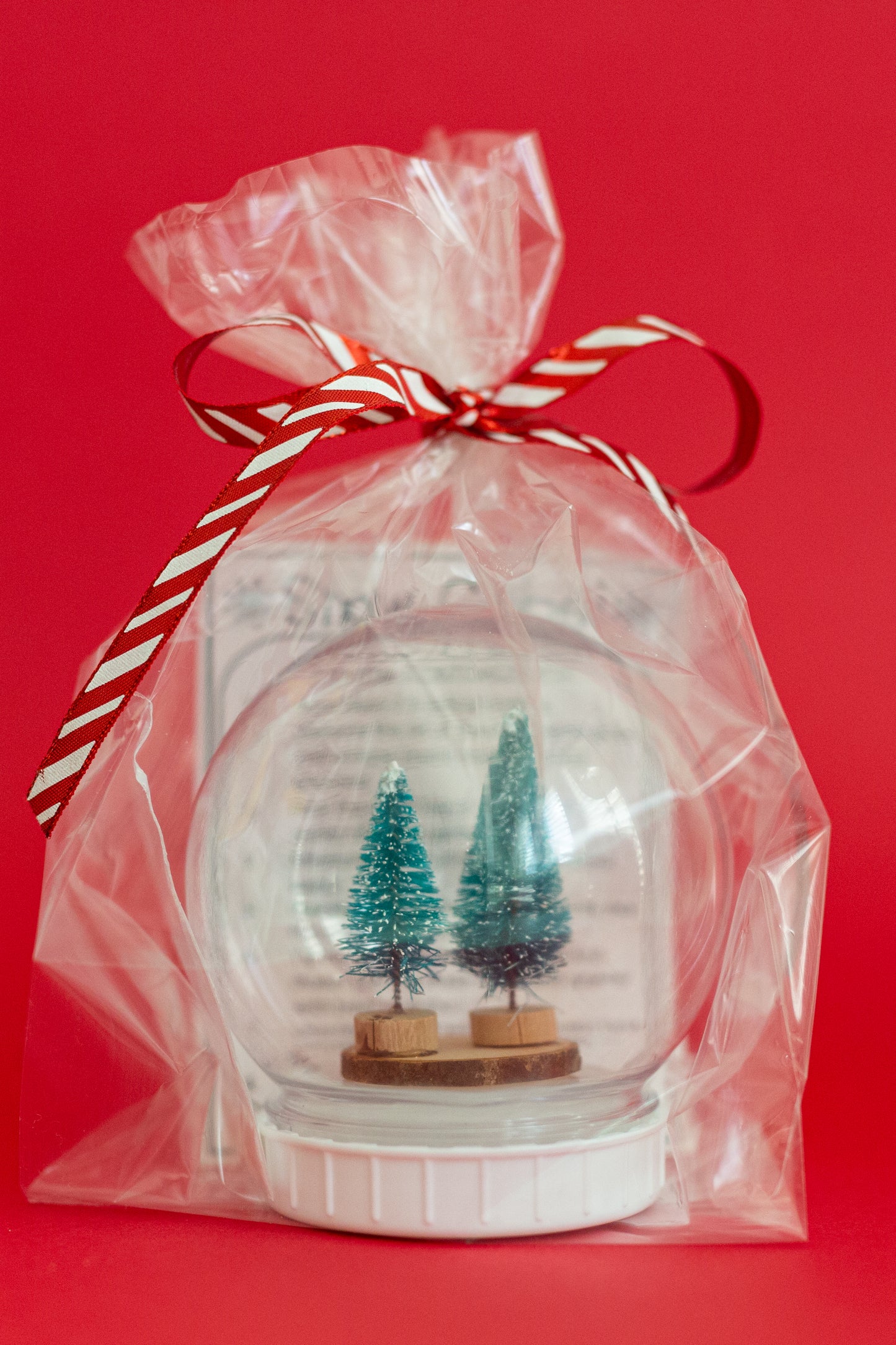Snow Globe Kit
