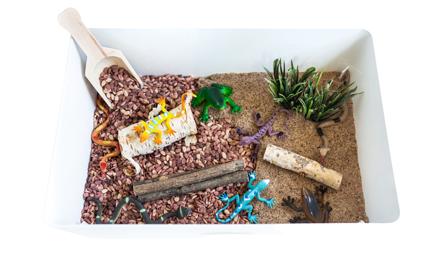 Reptile Mini Sensory Bin