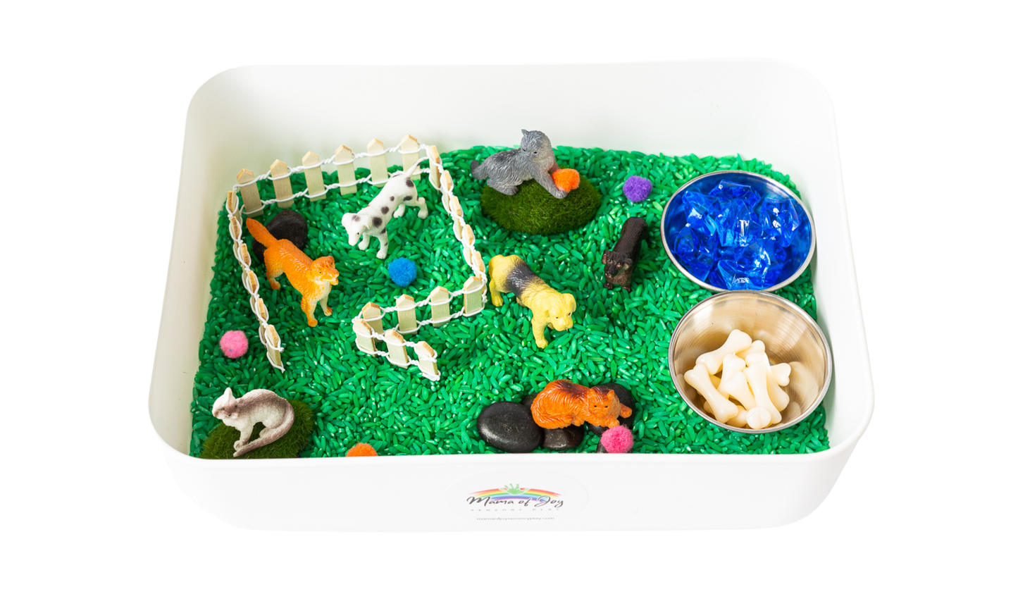 Pets Mini Sensory Bin