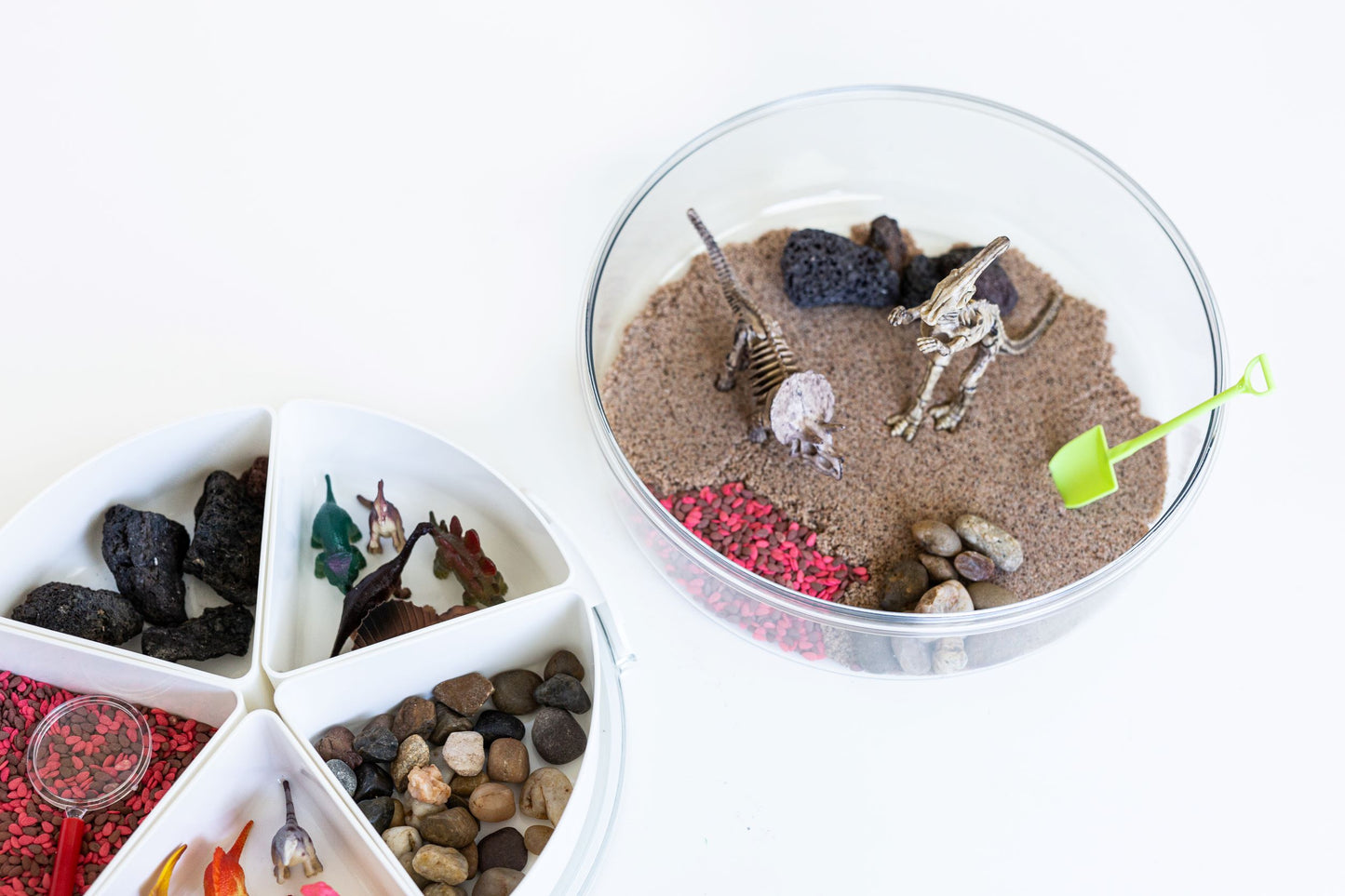 Sensory Play Divided Container