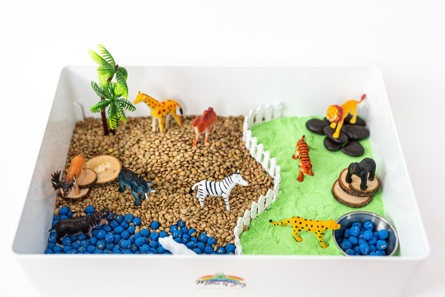 Zoo Sensory Bin