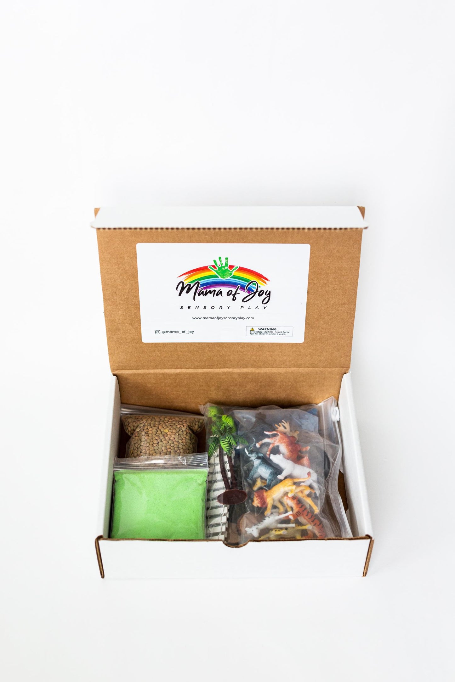 Zoo Sensory Bin