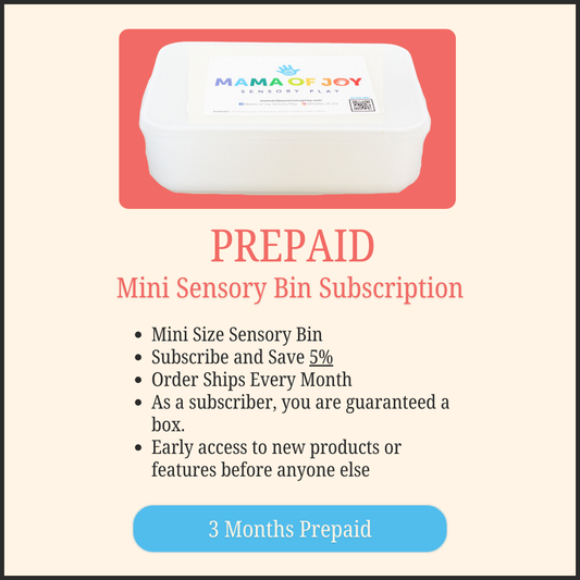 PREPAID 3 Monthly MINI Sensory Bin Subscription