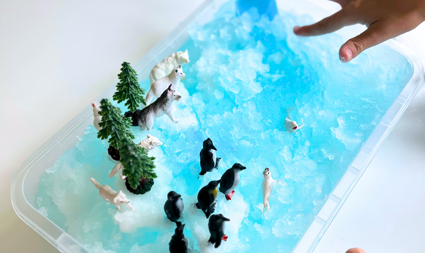 Arctic Sensory Bin