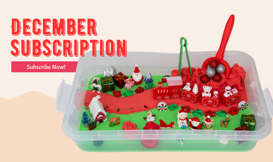 Full Size Sensory Bin Subscription - Container Included