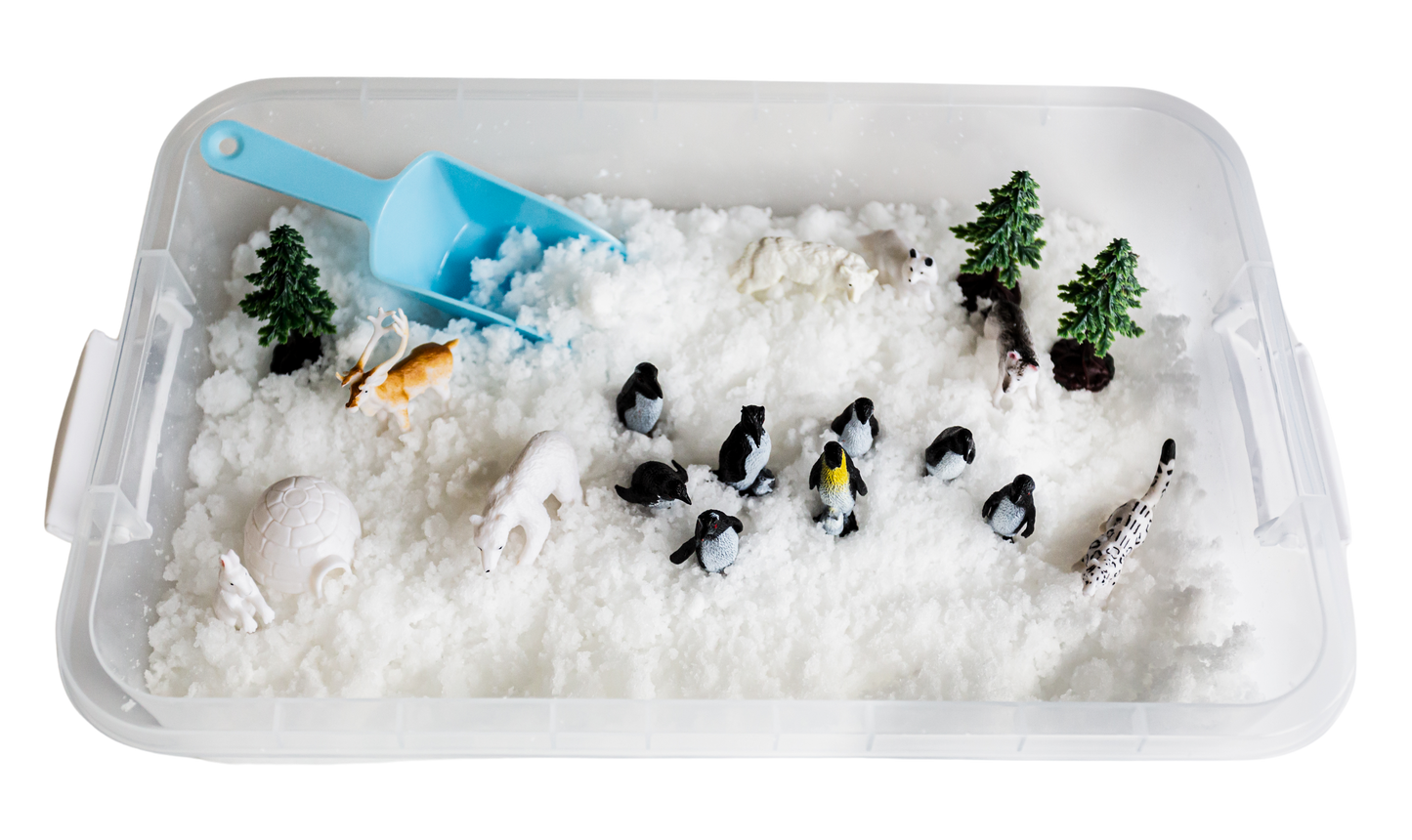 Arctic Sensory Bin