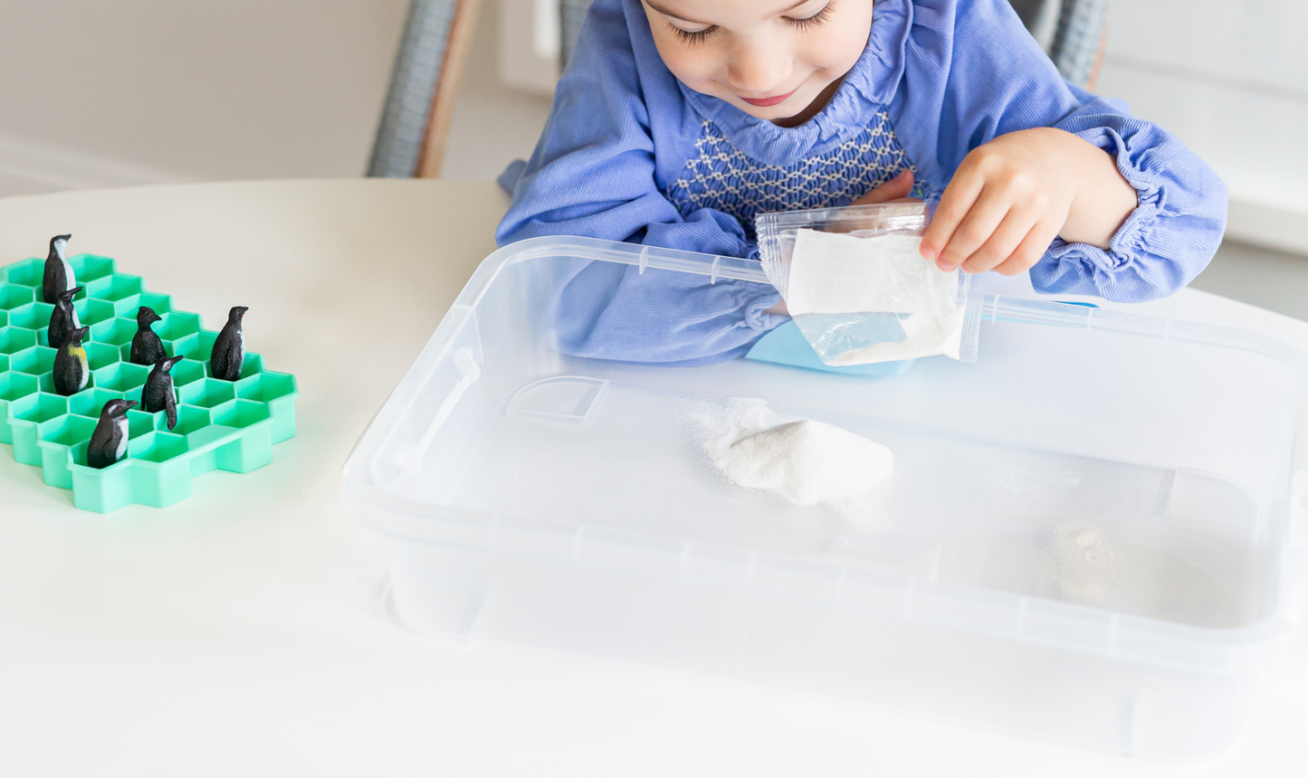 Arctic Sensory Bin