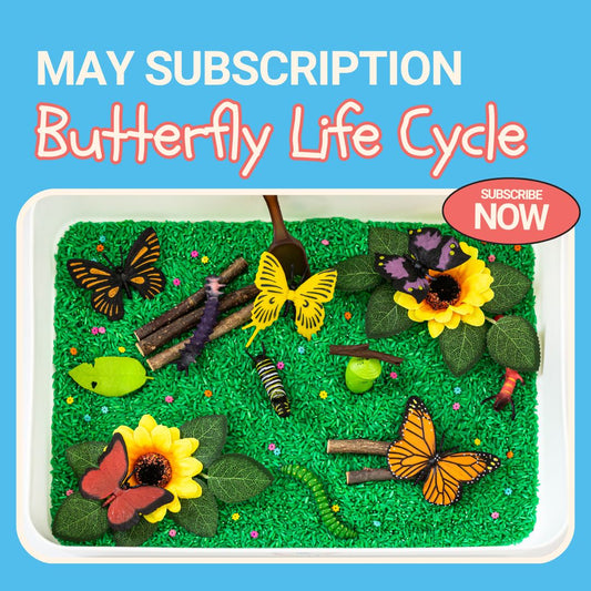 Full Size Sensory Bin Subscription - Container Included