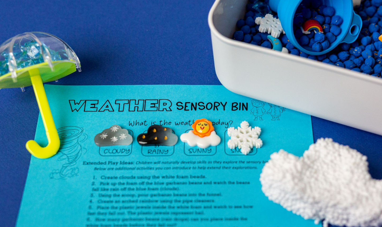 Weather Sensory Bin