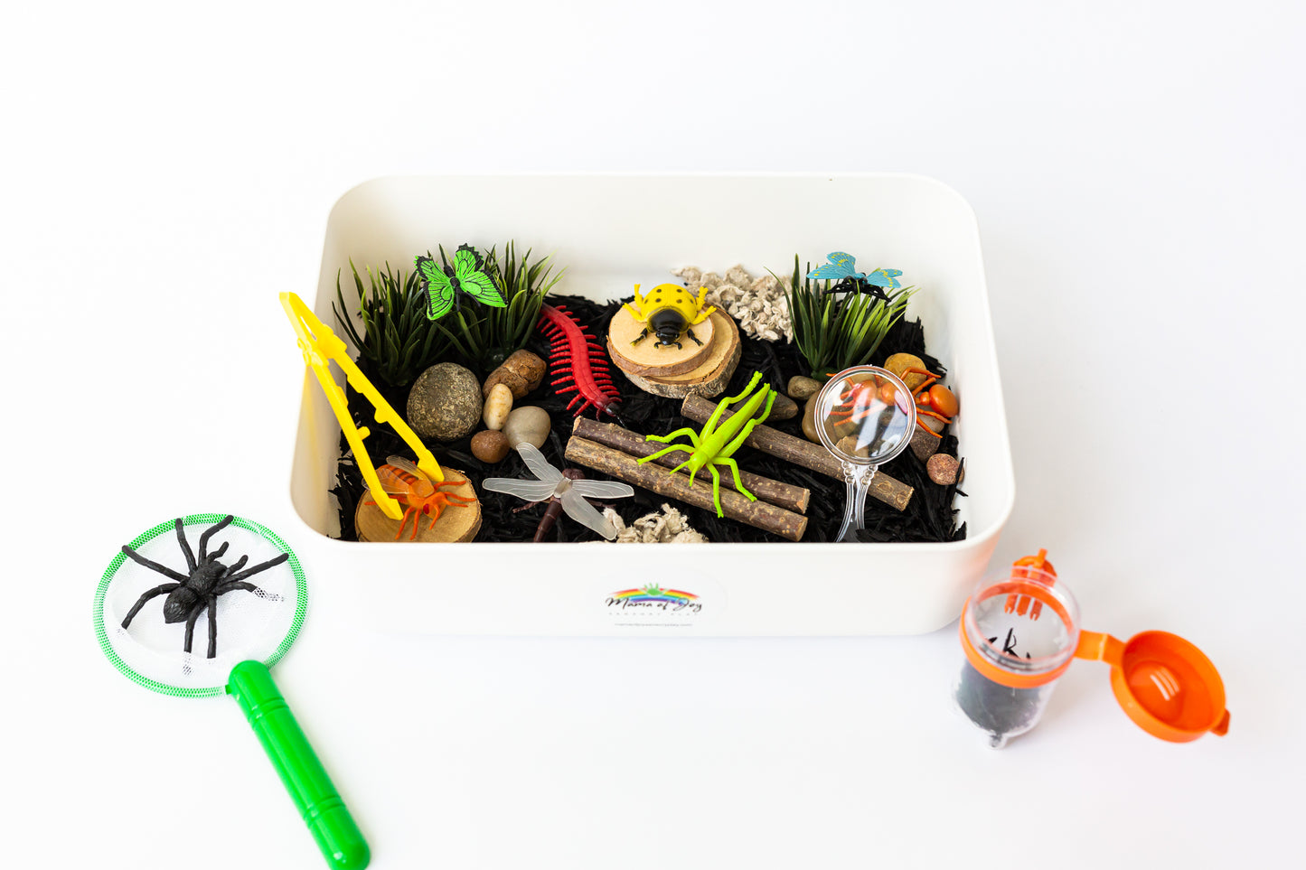 Bug Mini Sensory Bin